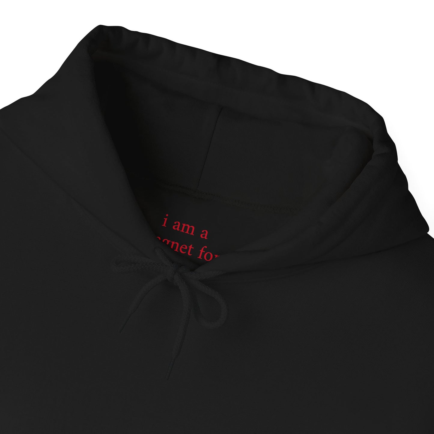 I am a magnet for success - Red Affirmation Hoodie