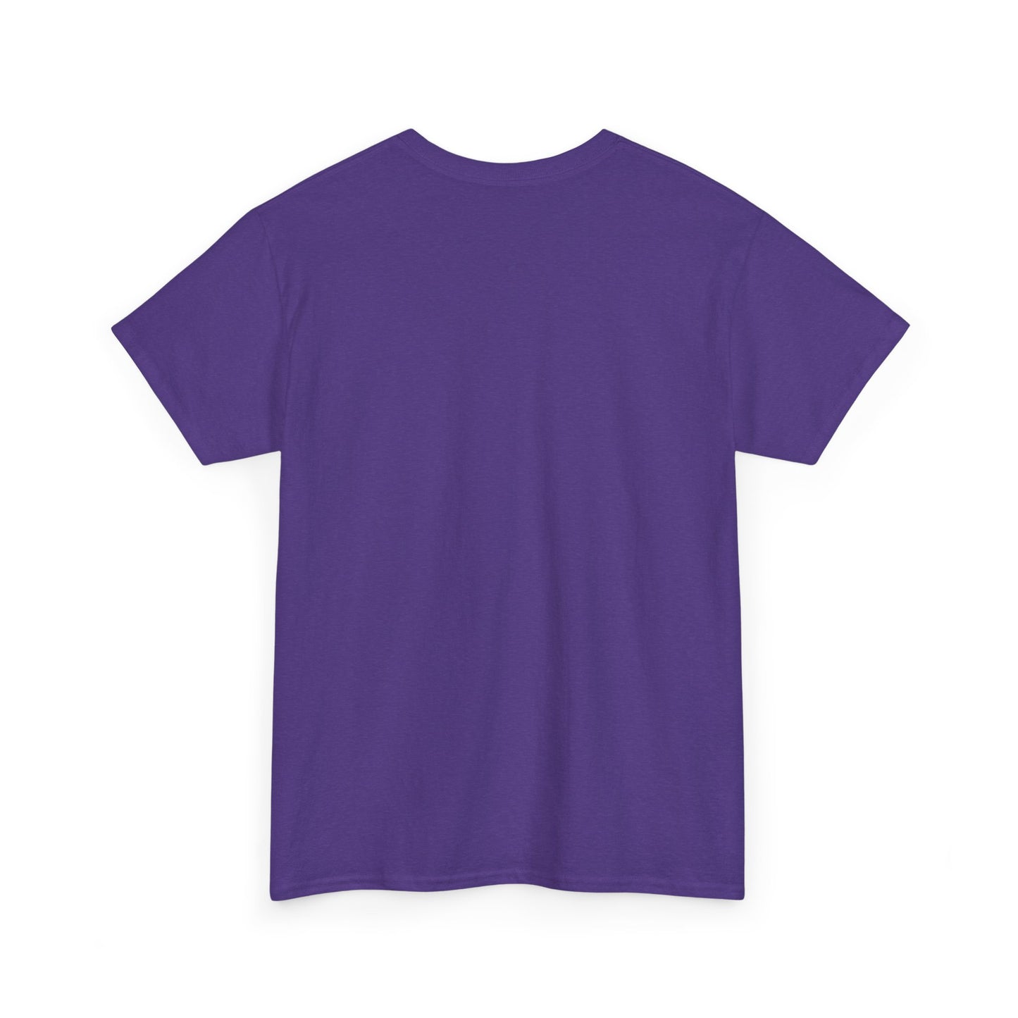 I am a magnet for success - Solid Color Plain Tee