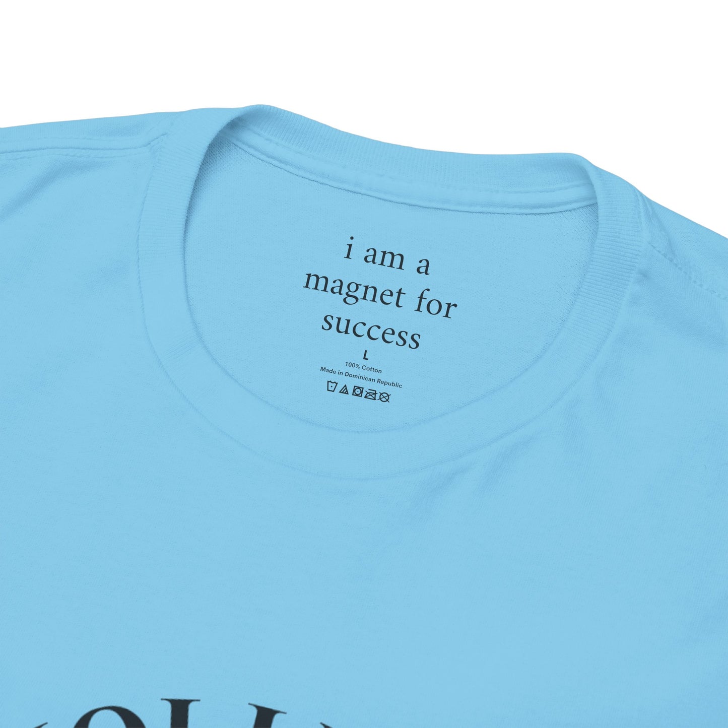 I am a magnet for success - Front Black Logo