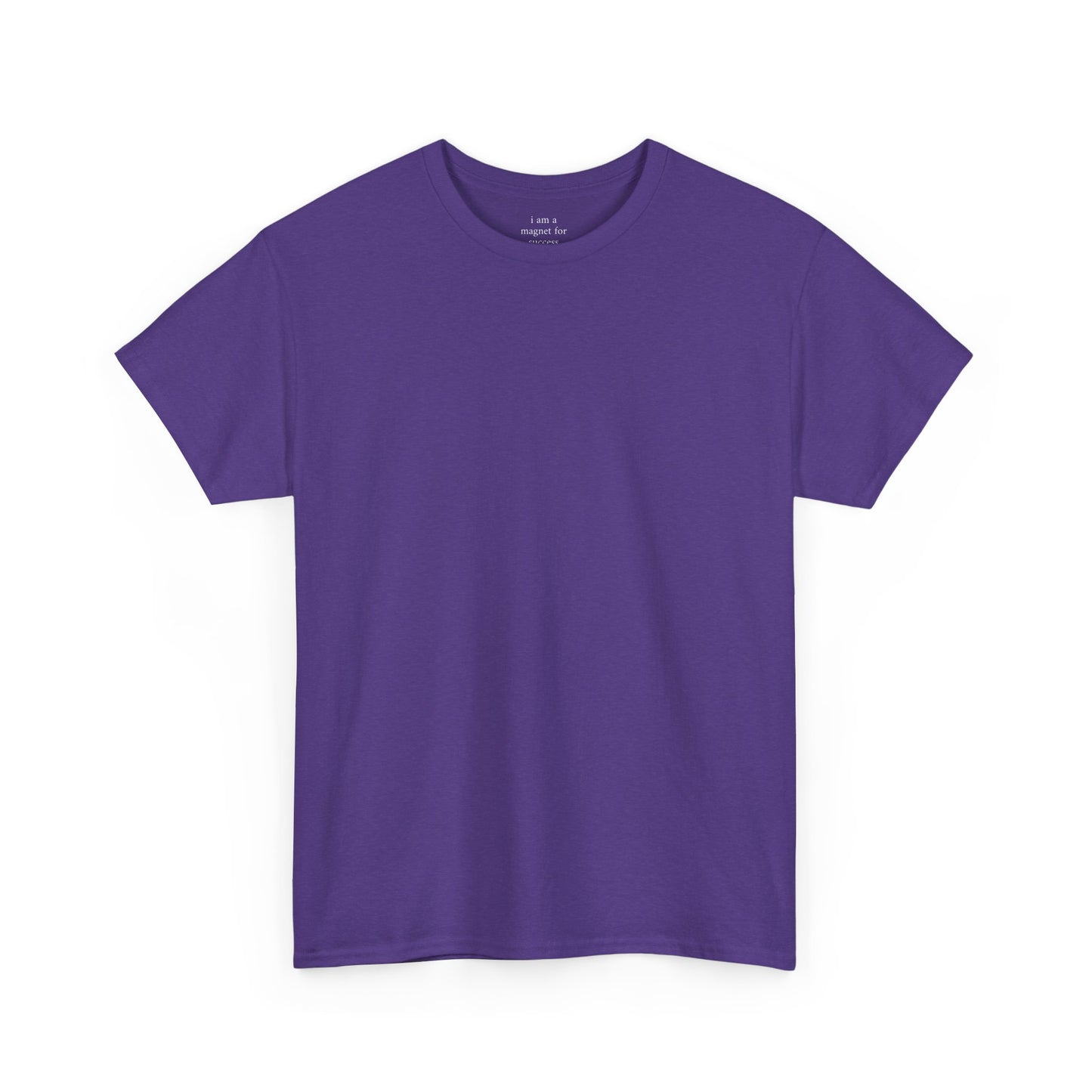 I am a magnet for success - Solid Color Plain Tee