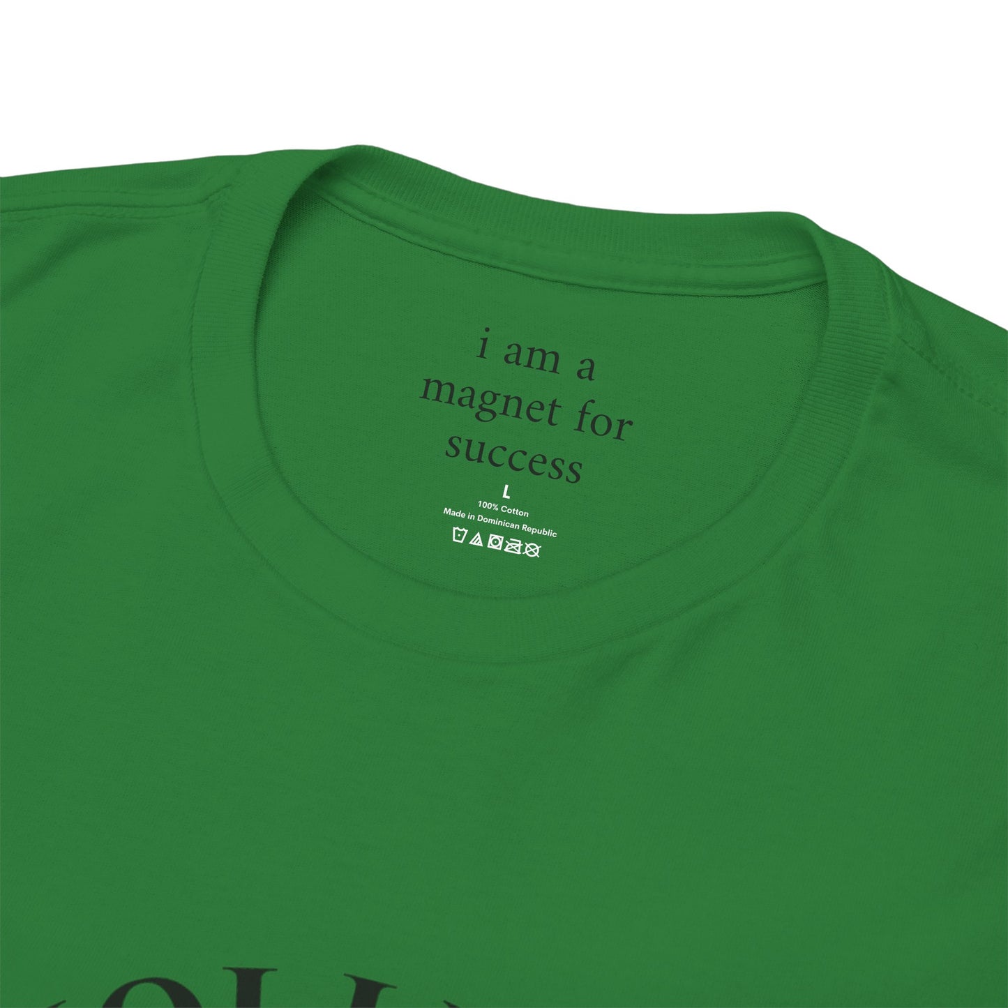 I am a magnet for success - Front Black Logo